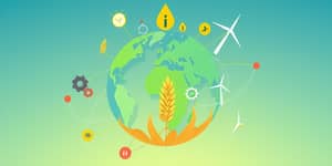 O Futuro das Commodities no Mercado Mundial